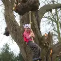 Fred reaches the top of the rope, The Launching of the Jolly Conkerer, The Oaksmere, Brome, Suffolk - 3rd April 2015