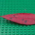 A red leaf on a green Lego base, The Launching of the Jolly Conkerer, The Oaksmere, Brome, Suffolk - 3rd April 2015