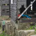 Fred lurks by some wrecked winch sheds, A Day on the Beach, Dunwich, Suffolk - 6th April 2015