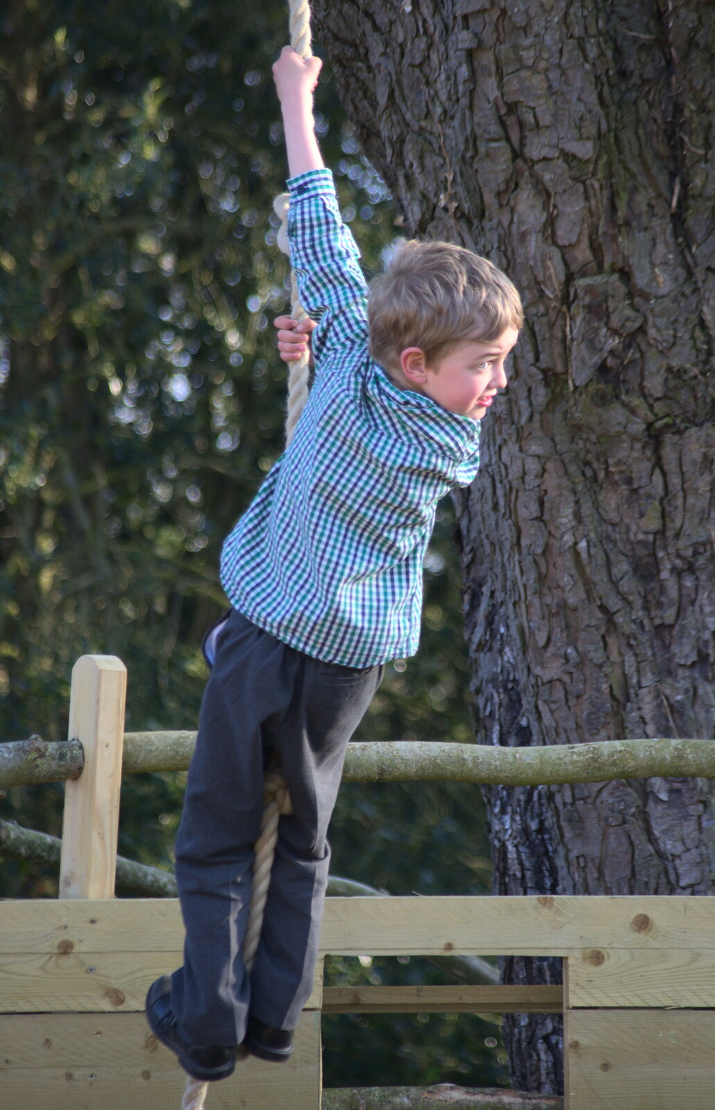 Fred's up the rope again from The Oaksmere's First Year Anniversary, Brome, Suffolk - 23rd April 2015
