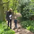 Martina chats to Harry, Making Dens: Rosie's Birthday, Thornham, Suffolk - 25th April 2015