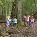 Dens are made, Making Dens: Rosie's Birthday, Thornham, Suffolk - 25th April 2015