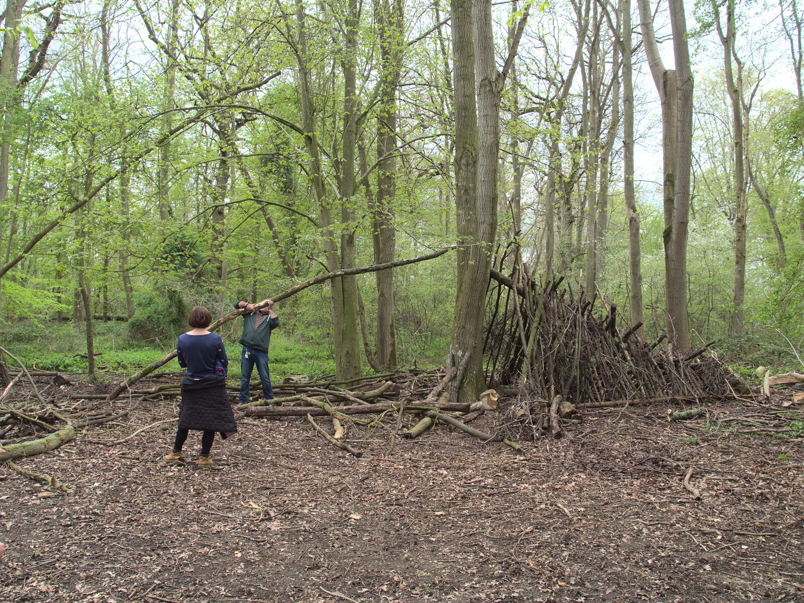 Mikey P gets a massive stick from Making Dens: Rosie's Birthday, Thornham, Suffolk - 25th April 2015