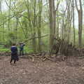 Mikey P gets a massive stick, Making Dens: Rosie's Birthday, Thornham, Suffolk - 25th April 2015