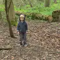 Harry looks a little grumpy, Making Dens: Rosie's Birthday, Thornham, Suffolk - 25th April 2015