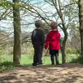 Harry and Jack survey the Henniker estate, Making Dens: Rosie's Birthday, Thornham, Suffolk - 25th April 2015