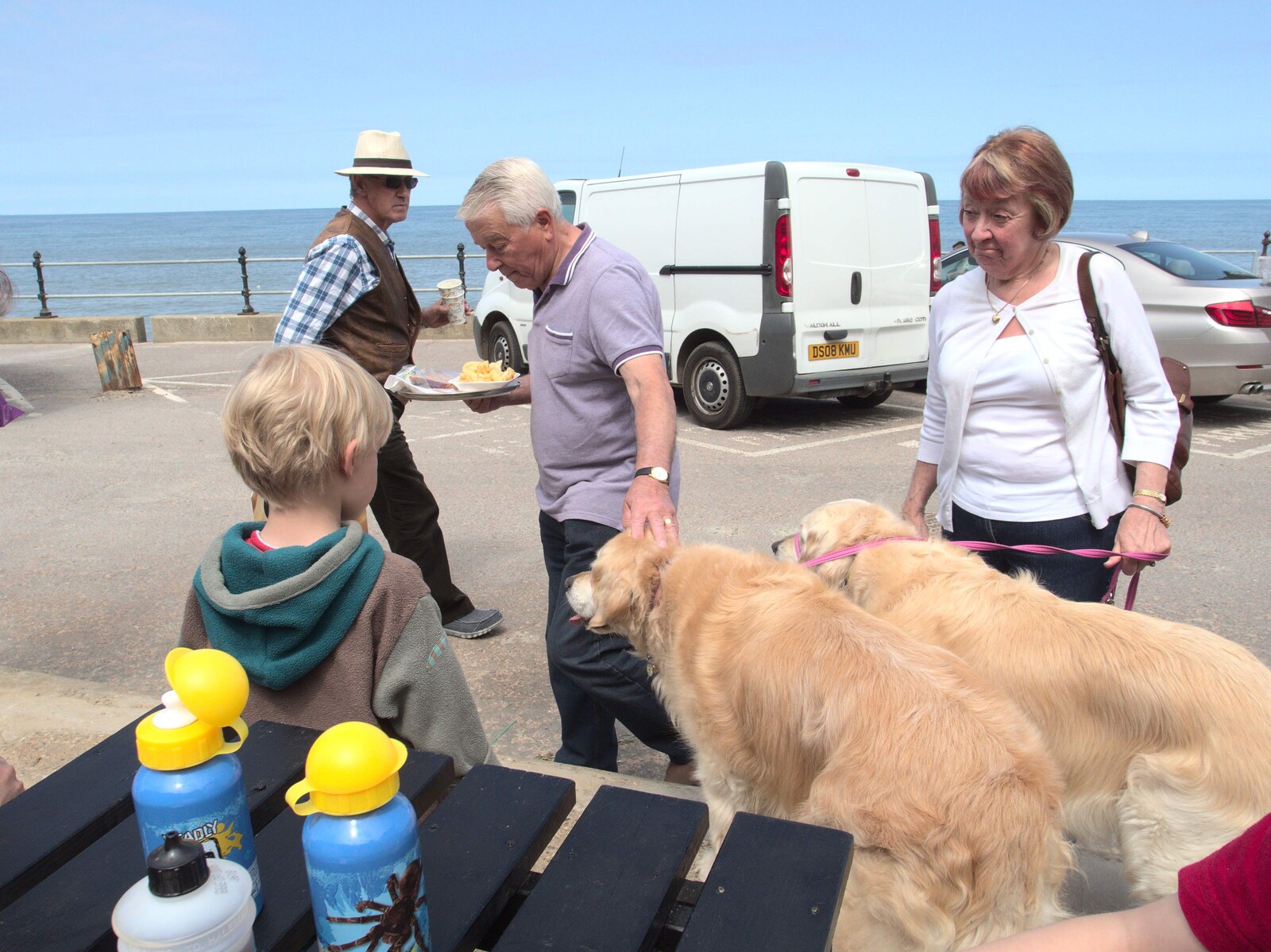 Harry says hello to some shaggy retrievers from A Birthday Camping Trip, East Runton, North Norfolk - 26th May 2015