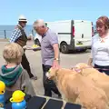 Harry says hello to some shaggy retrievers, A Birthday Camping Trip, East Runton, North Norfolk - 26th May 2015