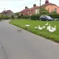 A gaggle of geese in East Runton, A Birthday Camping Trip, East Runton, North Norfolk - 26th May 2015