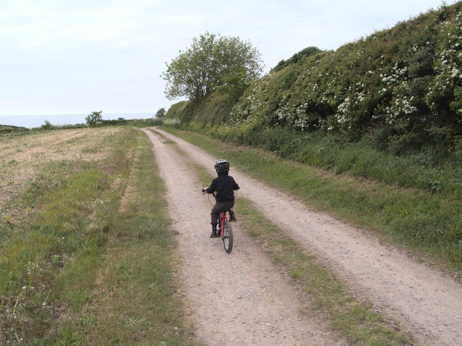 Fred cycles the path to the campsite from A Birthday Camping Trip, East Runton, North Norfolk - 26th May 2015