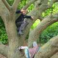 Fred and Harry climb a tree, A Birthday Camping Trip, East Runton, North Norfolk - 26th May 2015