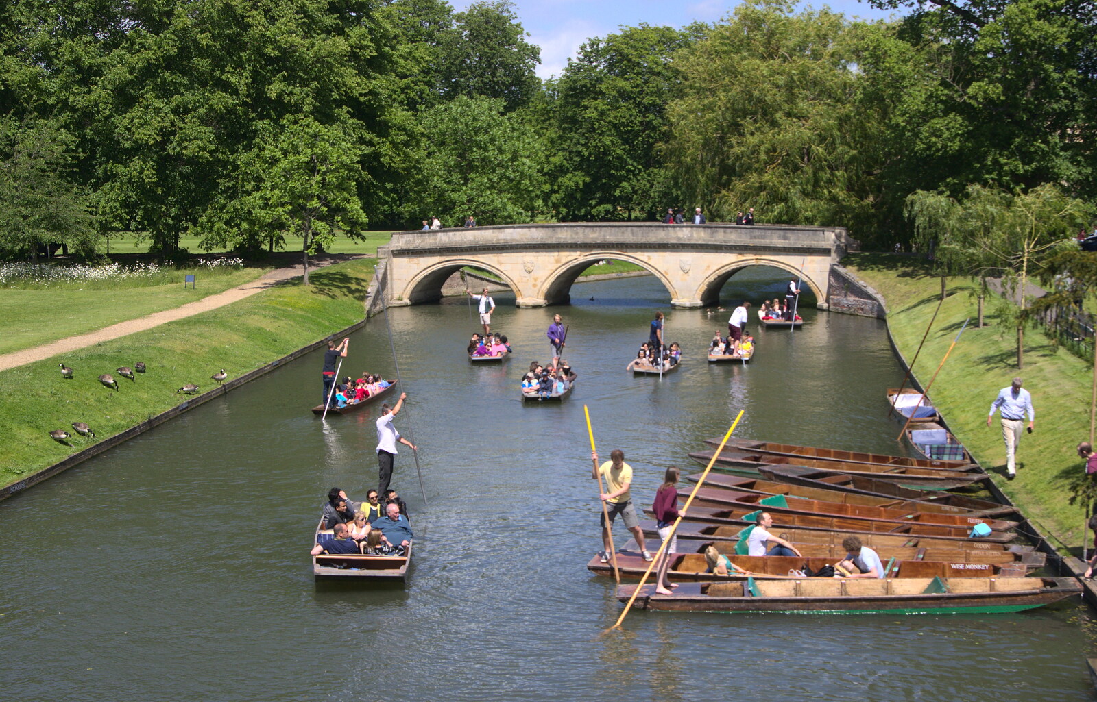 Spring punting on the Cam from Punting With Grandad, Cambridge, Cambridgeshire - 6th June 2015