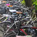 Cambridge bike chaos, Punting With Grandad, Cambridge, Cambridgeshire - 6th June 2015