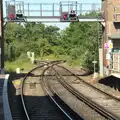 These tracks don't seem to know where they're going, SwiftKey Does AirSoft, Epsom, Surrey - 11th June 2015