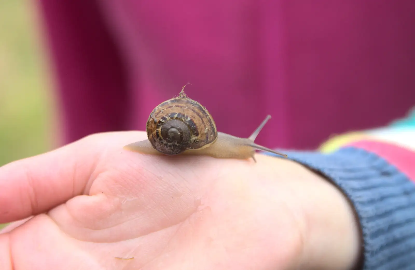 Fred's got a new pet, from A Wet Weekend of Camping, Waxham Sands, Norfolk - 13th June 2015