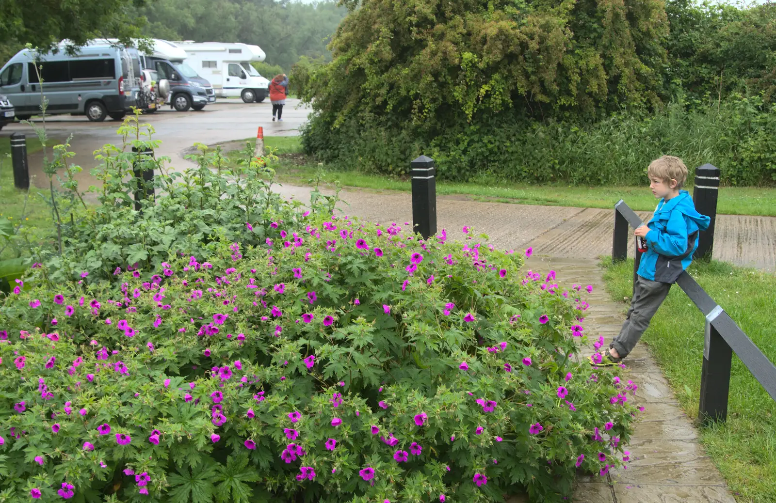 Fred hangs around, from A Wet Weekend of Camping, Waxham Sands, Norfolk - 13th June 2015