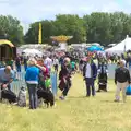 It's a good turnout, A Vintage Tractorey Sort of Day, Palgrave, Suffolk - 21st June 2015