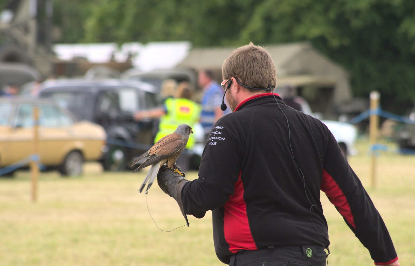 The kestrel is back in hand from A Vintage Tractorey Sort of Day, Palgrave, Suffolk - 21st June 2015