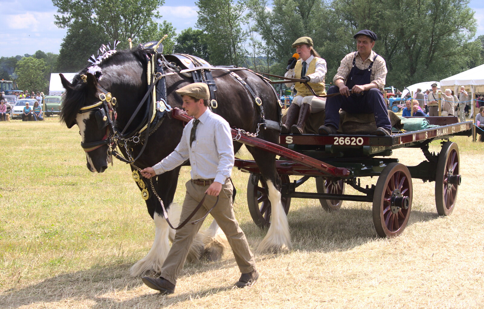 A heavy horse display from A Vintage Tractorey Sort of Day, Palgrave, Suffolk - 21st June 2015