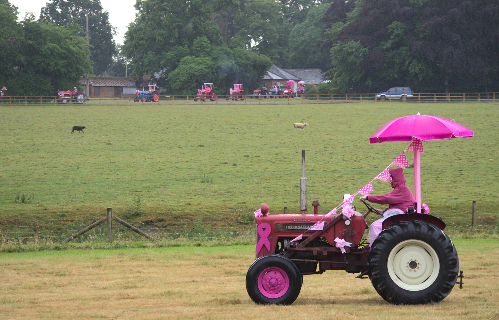 A stream of tractors comes in to the park from The Pink Ladies Tractor Run, Harleston and Gawdy Park, Norfolk - 5th July 2015