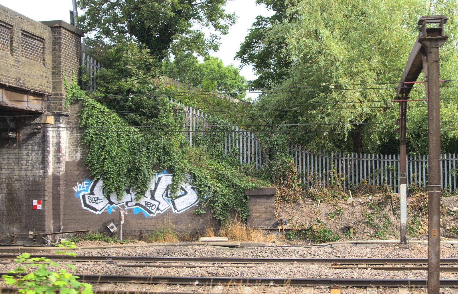 Graffiti is covered by foliage from It's a SwiftKey Knockout, Richmond Rugby Club, Richmond, Surrey - 7th July 2015