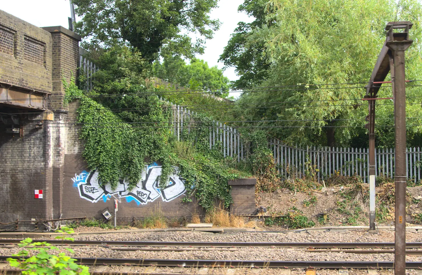 Graffiti is covered by foliage, from It's a SwiftKey Knockout, Richmond Rugby Club, Richmond, Surrey - 7th July 2015