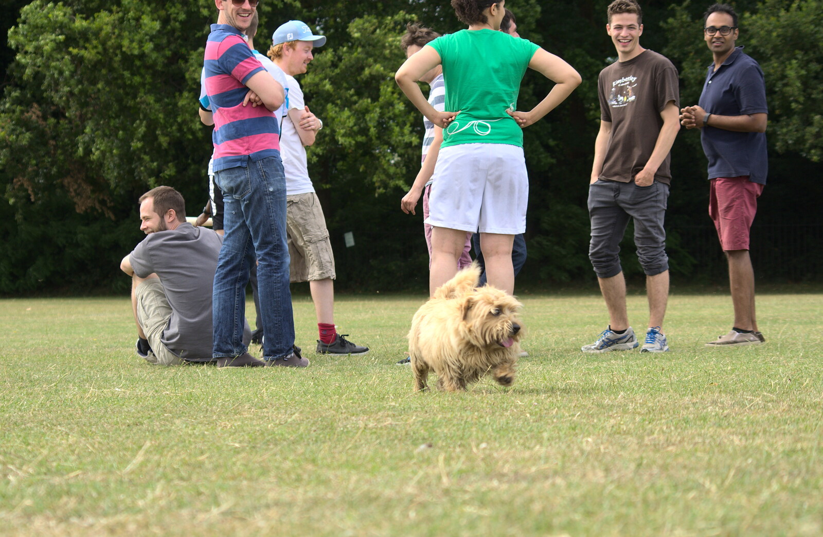 A small dog invades the group from It's a SwiftKey Knockout, Richmond Rugby Club, Richmond, Surrey - 7th July 2015