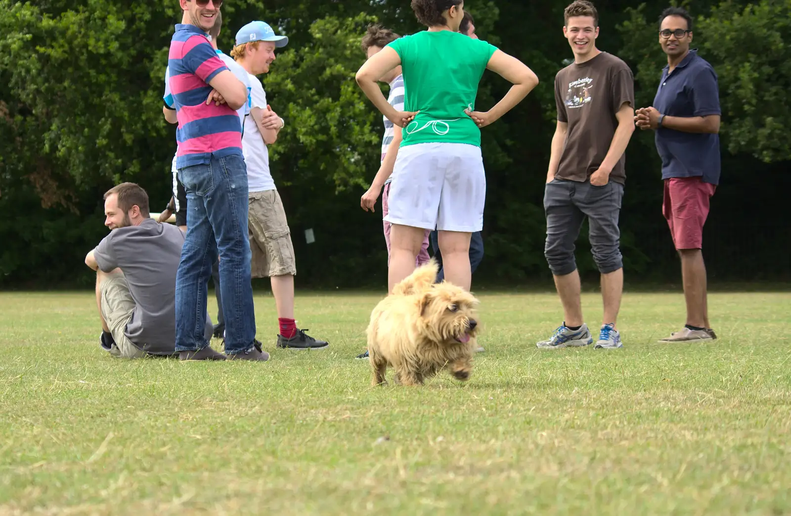 A small dog invades the group, from It's a SwiftKey Knockout, Richmond Rugby Club, Richmond, Surrey - 7th July 2015