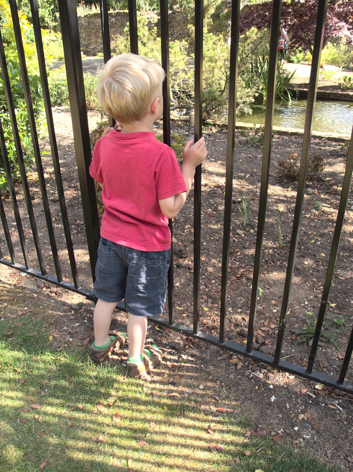 Harry gets his head stuck in some railings from The BBs at Bacton, and Abbey Gardens, Bury St. Edmunds, Suffolk - 19th July 2015