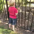 Harry gets his head stuck in some railings, The BBs at Bacton, and Abbey Gardens, Bury St. Edmunds, Suffolk - 19th July 2015