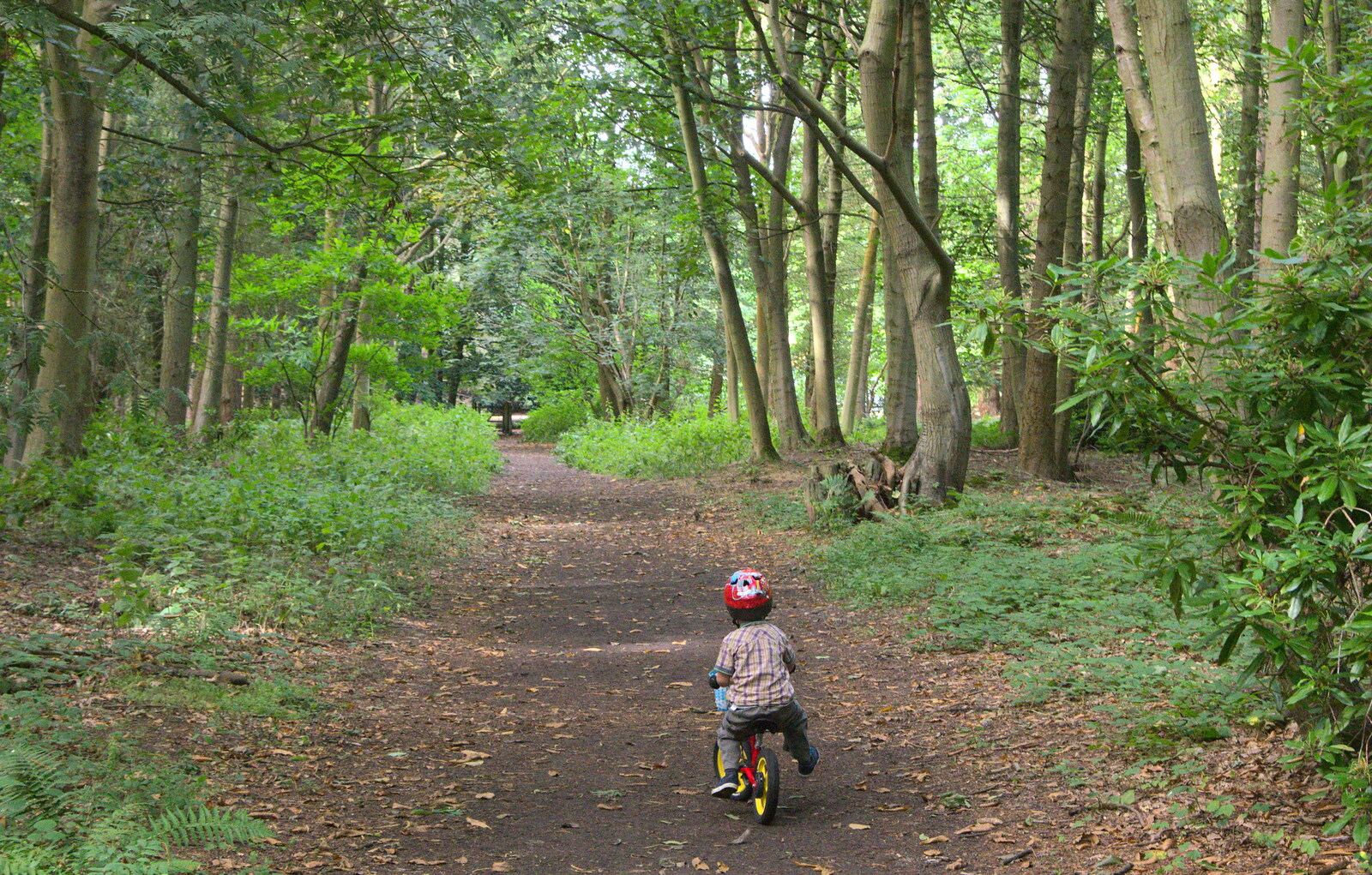Harry on his balance bike from The Archaeology of Dunwich: A Camping Trip, Dunwich, Suffolk - 1st August 2015
