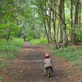 Harry on his balance bike, The Archaeology of Dunwich: A Camping Trip, Dunwich, Suffolk - 1st August 2015