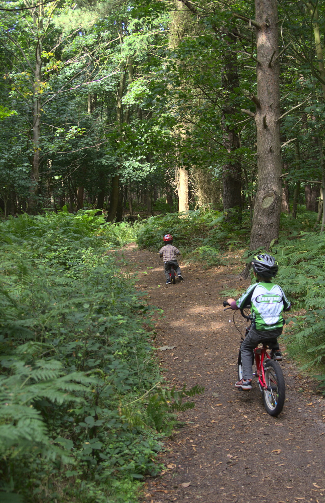 The boys cycle off in to the woods from The Archaeology of Dunwich: A Camping Trip, Dunwich, Suffolk - 1st August 2015
