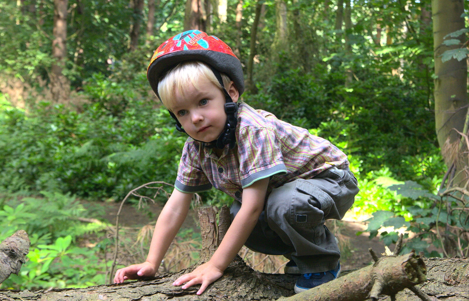 Harry on a tree from The Archaeology of Dunwich: A Camping Trip, Dunwich, Suffolk - 1st August 2015
