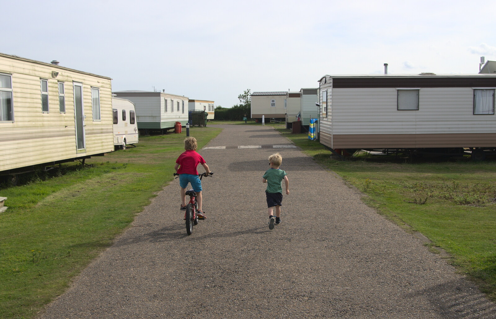 Fred and Harry roam around the camp site from The Danger of Trees: A Camping (Mis)adventure - Southwold, Suffolk - 3rd August 2015
