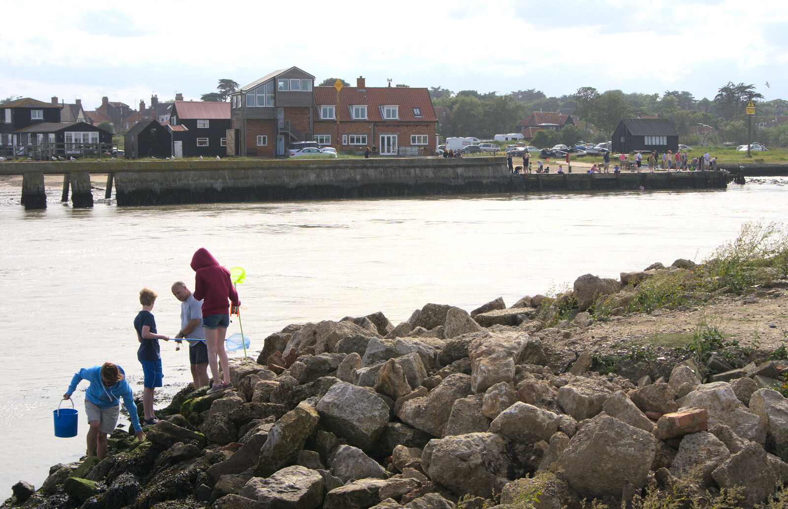 Crabbing on the rocks from The Danger of Trees: A Camping (Mis)adventure - Southwold, Suffolk - 3rd August 2015