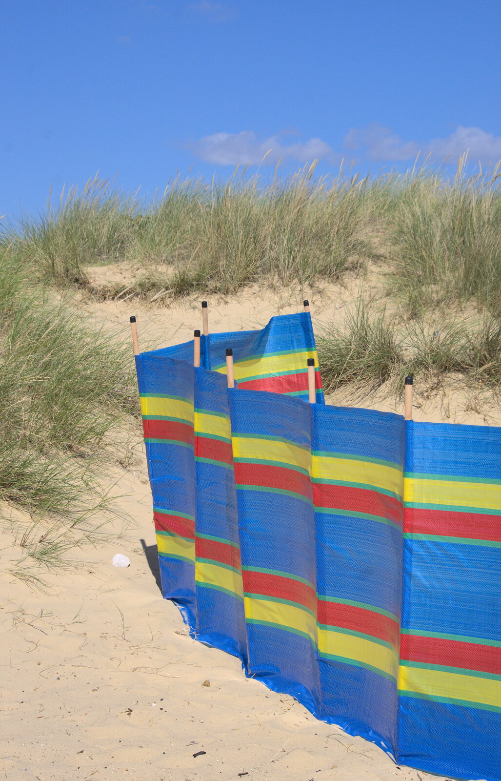 A much-needed windbreak from The Danger of Trees: A Camping (Mis)adventure - Southwold, Suffolk - 3rd August 2015
