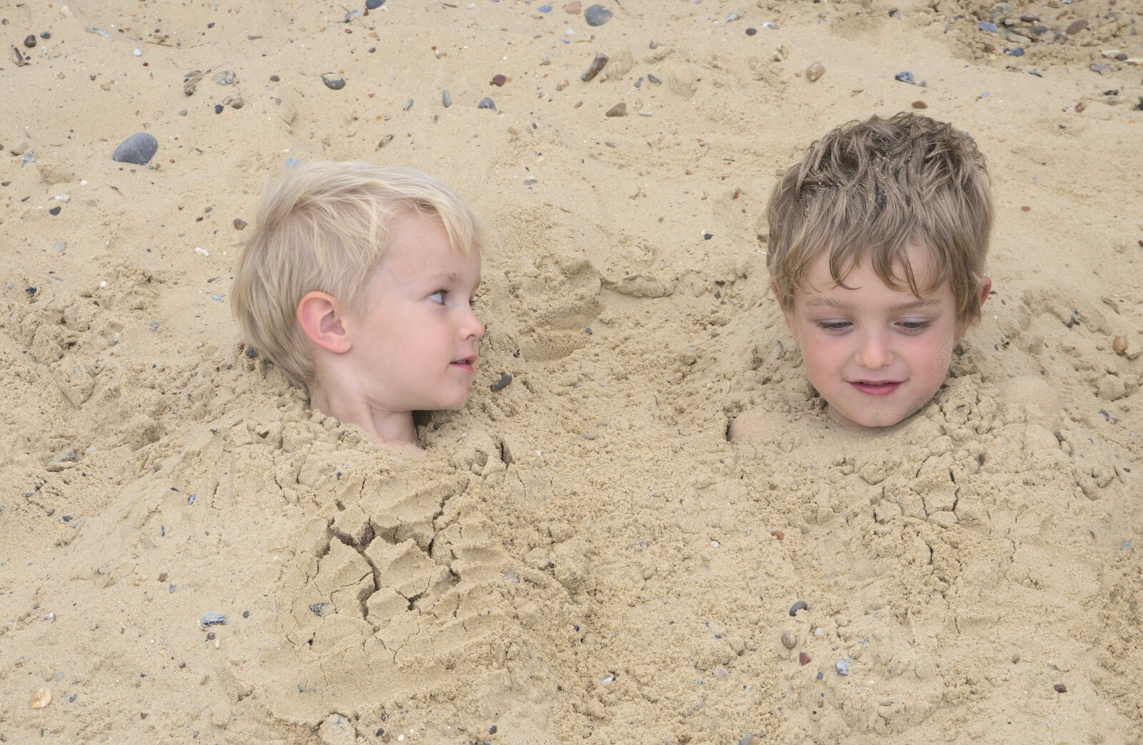 Harry and Fred are just heads in the sand from The Danger of Trees: A Camping (Mis)adventure - Southwold, Suffolk - 3rd August 2015