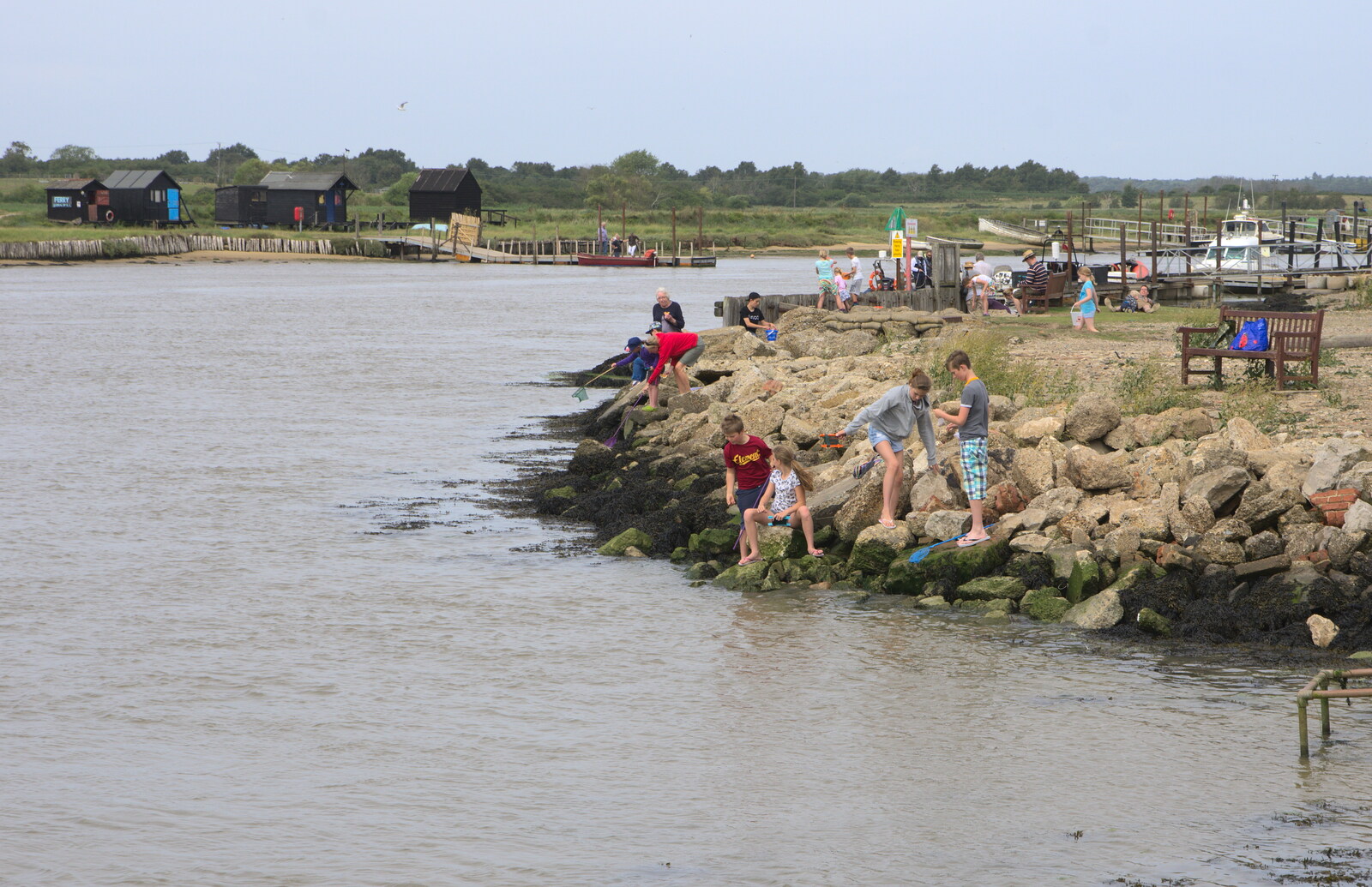 There's loads of crabbing down at the harbour from The Danger of Trees: A Camping (Mis)adventure - Southwold, Suffolk - 3rd August 2015