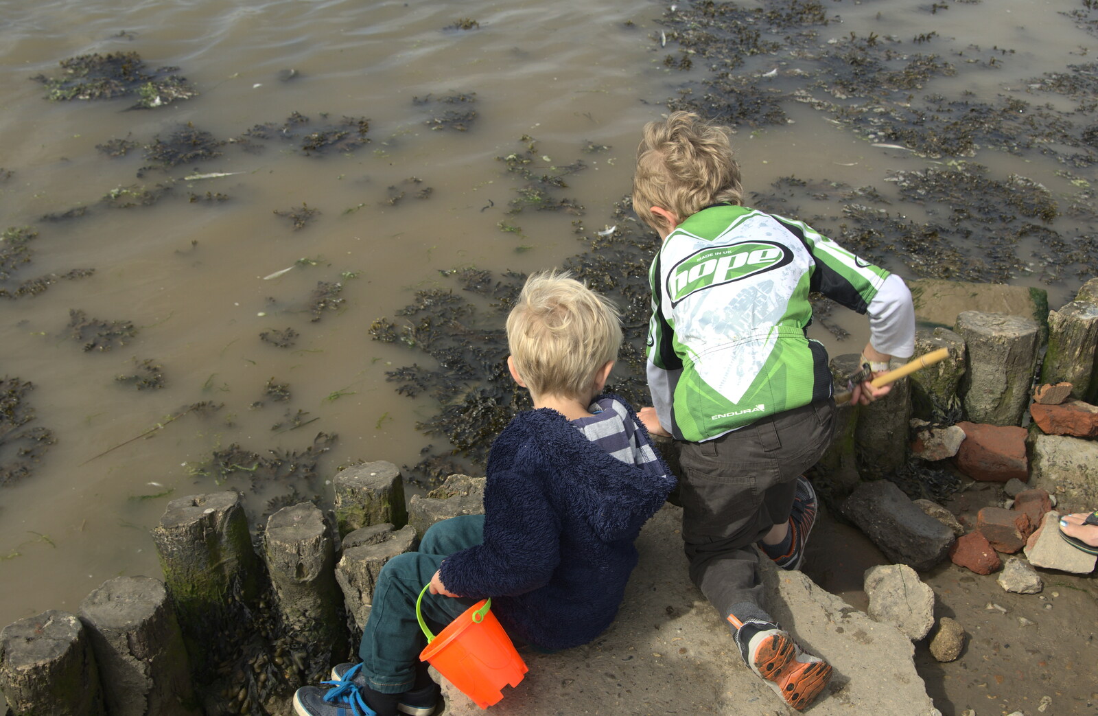 Harry and Fred inspect for crabs from The Danger of Trees: A Camping (Mis)adventure - Southwold, Suffolk - 3rd August 2015