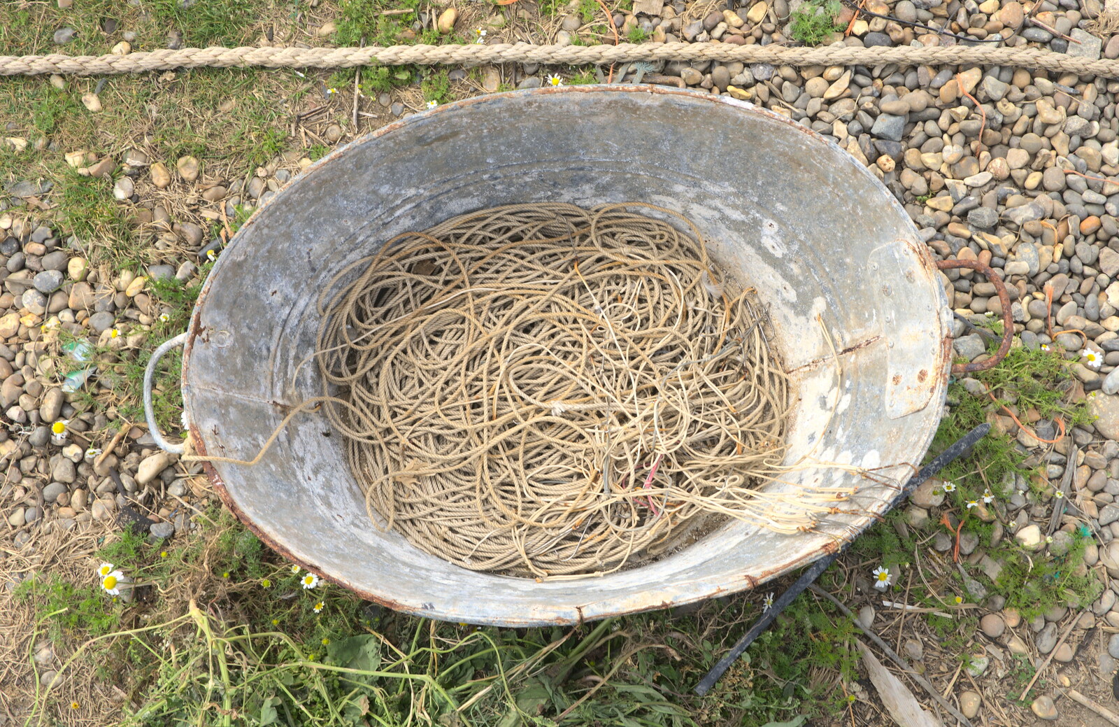 An bath with a load of thin rope, like worms from The Danger of Trees: A Camping (Mis)adventure - Southwold, Suffolk - 3rd August 2015