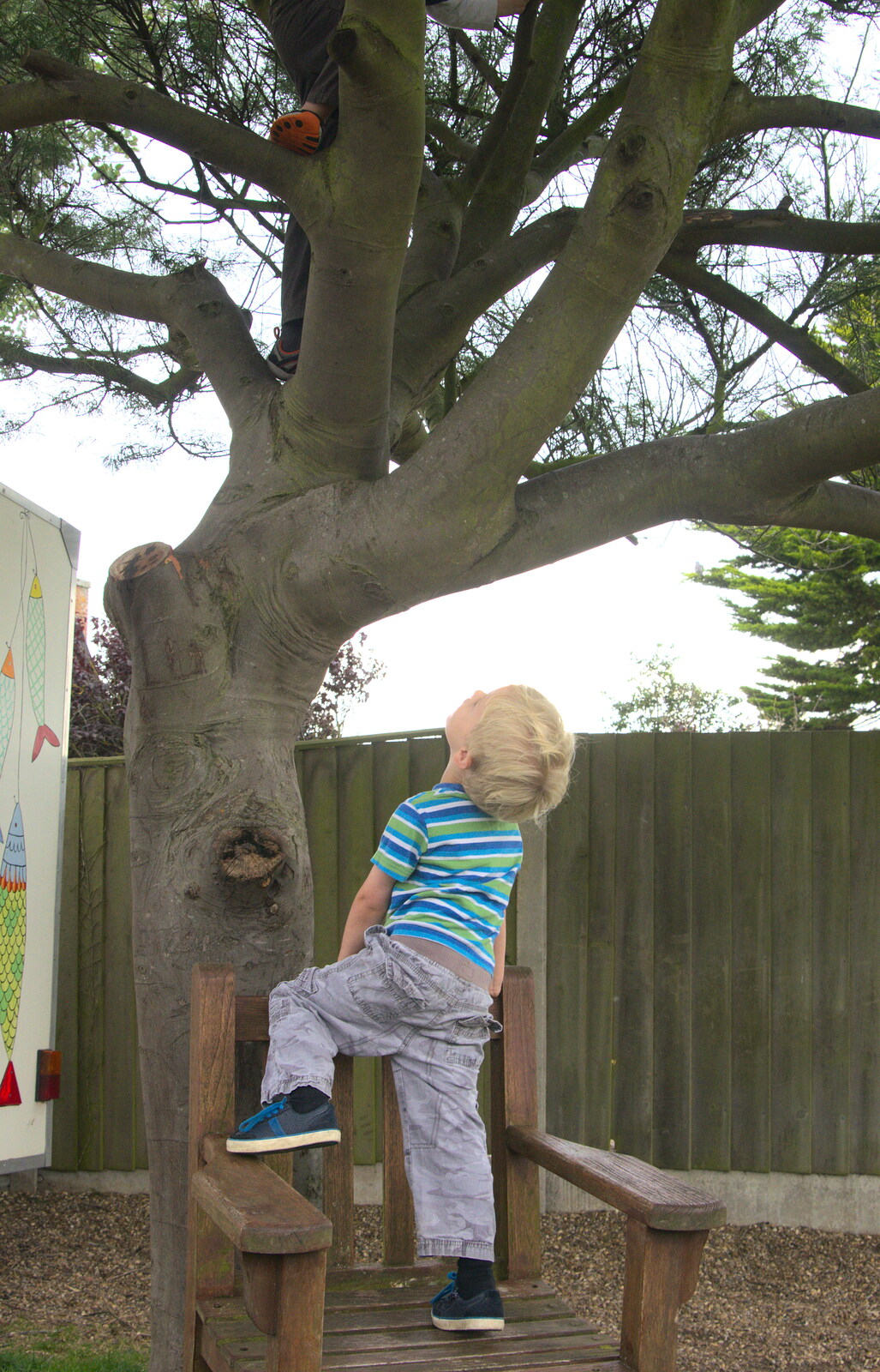 Harry looks up at Fred from The Danger of Trees: A Camping (Mis)adventure - Southwold, Suffolk - 3rd August 2015