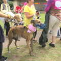A racing greyhound, A Race For Life, The Park, Diss, Norfolk - 16th August 2015