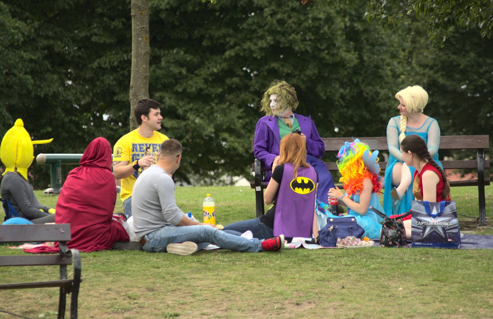 The Comicon Picnic continues from A Race For Life, The Park, Diss, Norfolk - 16th August 2015