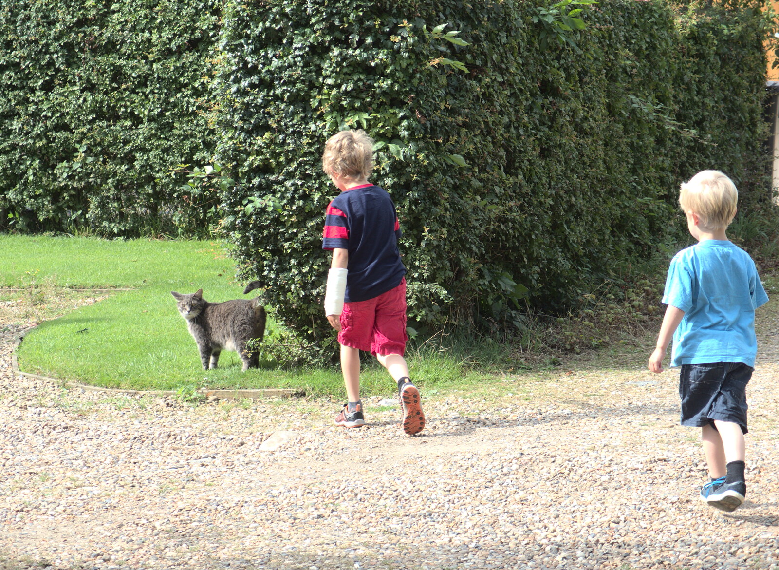 The boys chase after Bozley Mog from Fred's Cast and a SwiftKey Lunch, Waterloo, London - 18th August 2015
