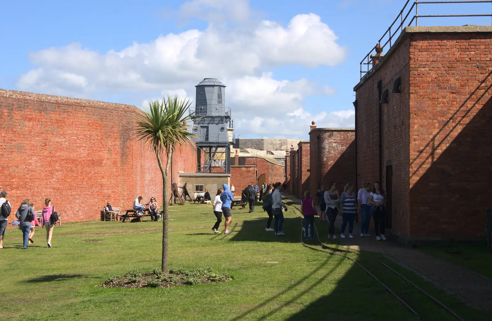 A palm tree inthe castle grounds, from A Trip to Hurst Castle, Keyhaven, Hampshire - 28th August 2015