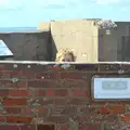 Fred peeps out from behind a wall, A Trip to Hurst Castle, Keyhaven, Hampshire - 28th August 2015