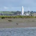 An Oyster Catcher pokes about, A Trip to Hurst Castle, Keyhaven, Hampshire - 28th August 2015