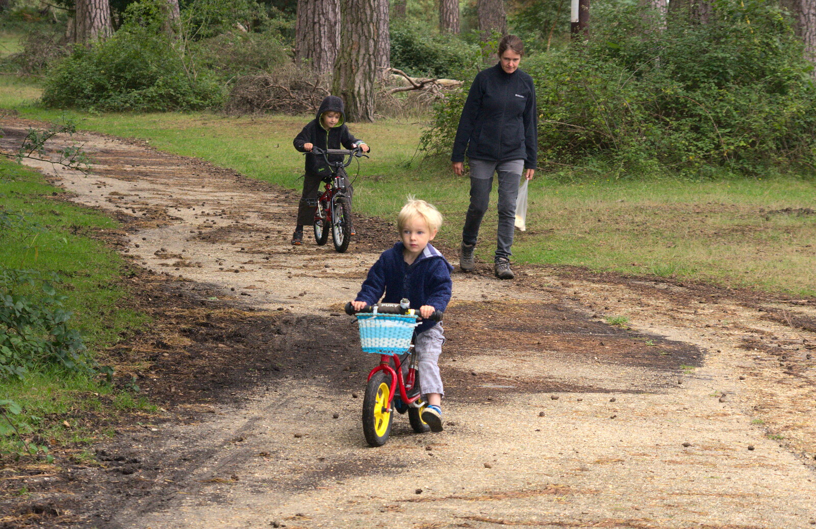 Harry on his balance bike from Camping at Roundhills, Brockenhurst, New Forest, Hampshire - 29th August 2015