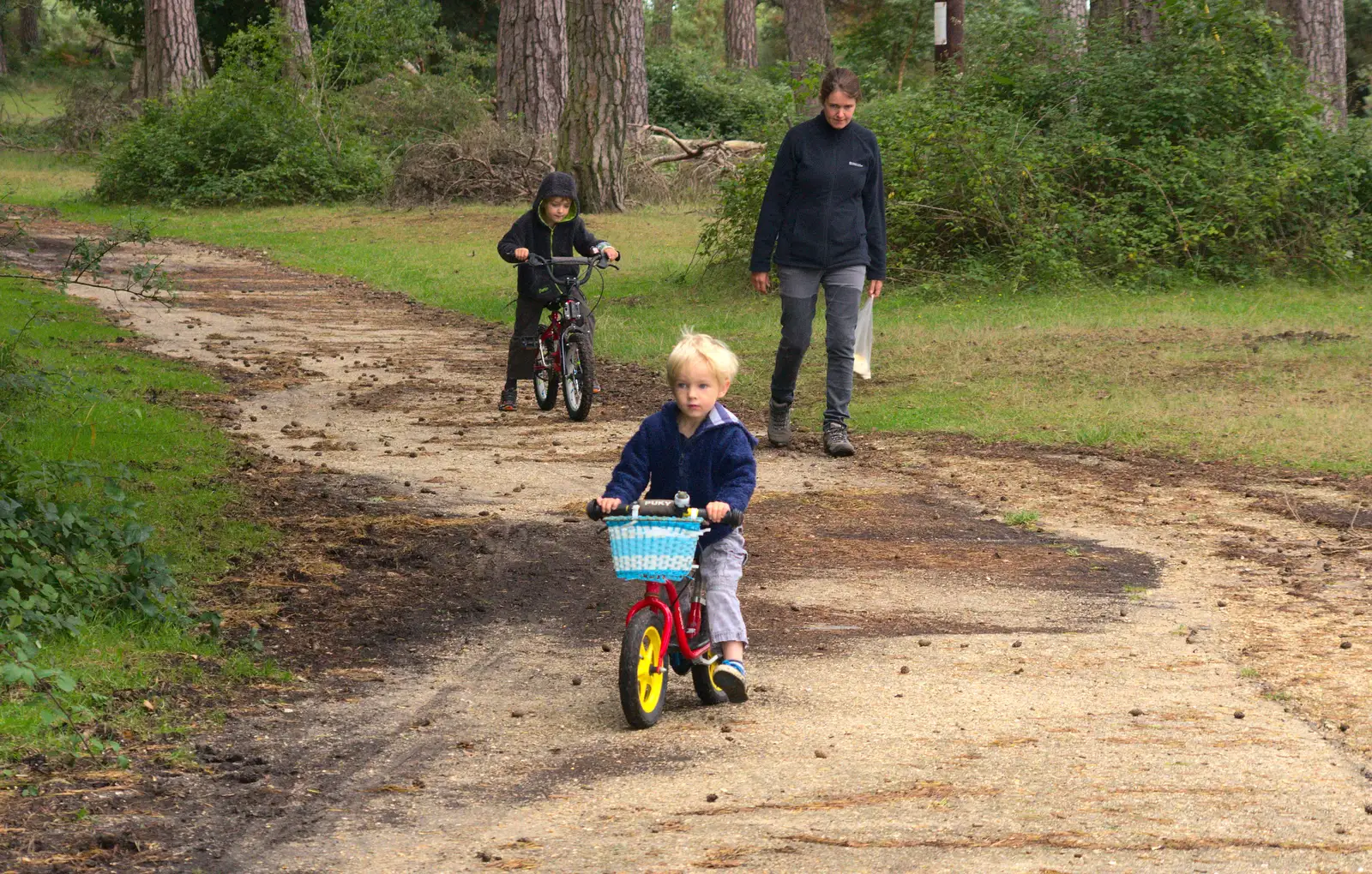 Harry on his balance bike, from Camping at Roundhills, Brockenhurst, New Forest, Hampshire - 29th August 2015